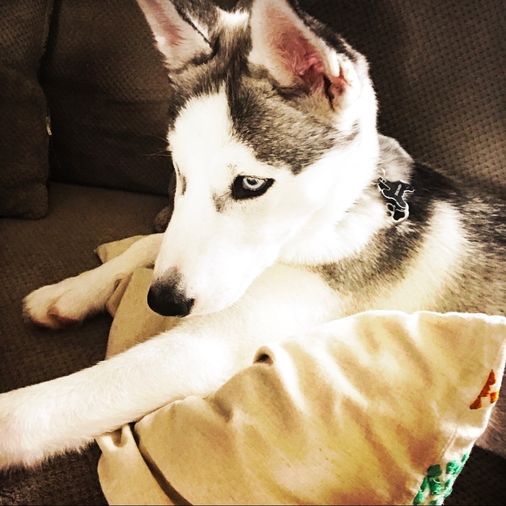 Meet your Posher, Erin